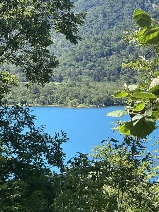 [Hokkaido, Lake Shikotsu] See it while you still can! 🩵 A hidden gem drive starting from Lake Okotanpe