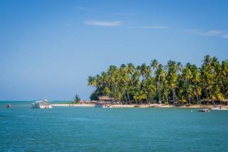 Hidden Paradise Alert: Praia dos Carneiros Is a Total Dream! 🏖️💎