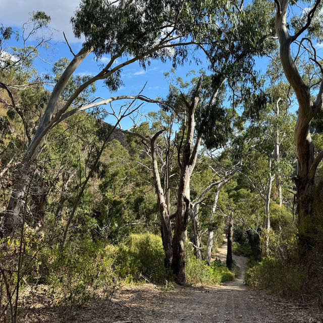 ⛰️ Hiking Time ⛰️
