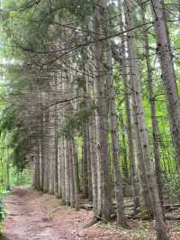 Spring Hike in Long Sault Conservation