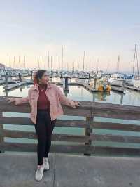 Experience San Francisco with Big Bus Tours 