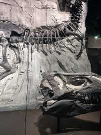 🦕恐竜の聖地！カナダ🇨🇦【ロイヤル・ティレル博物館】