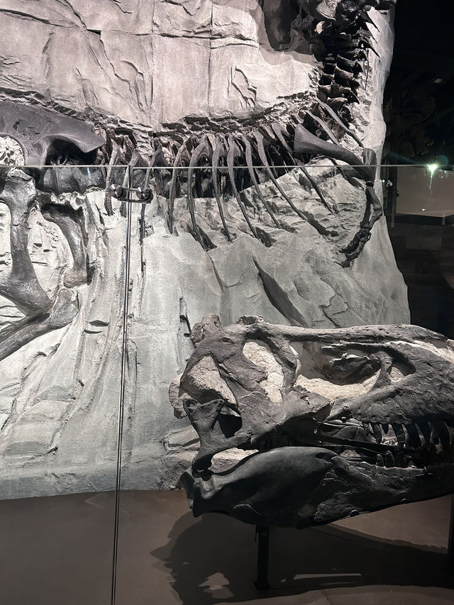 🦕恐竜の聖地！カナダ🇨🇦【ロイヤル・ティレル博物館】