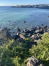 jeju island !!!!