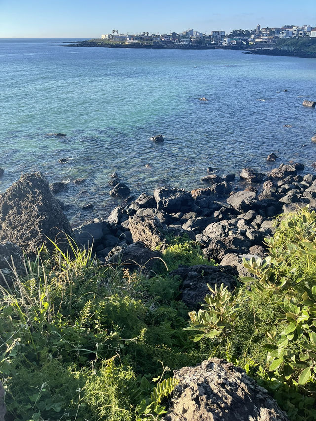 jeju island !!!!