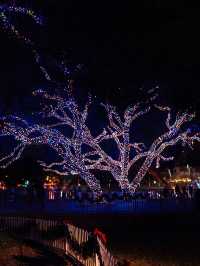 Free Light Forest in DFW