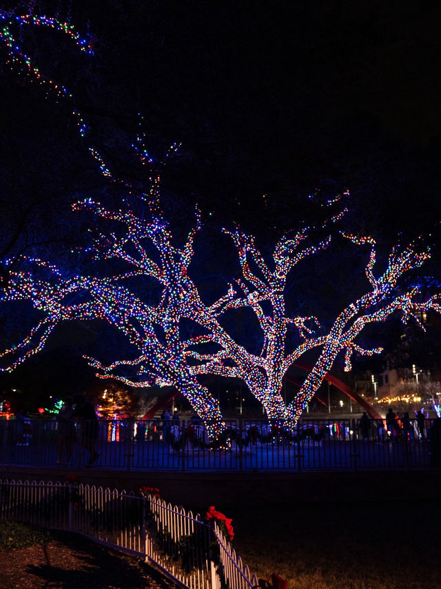 Free Light Forest in DFW