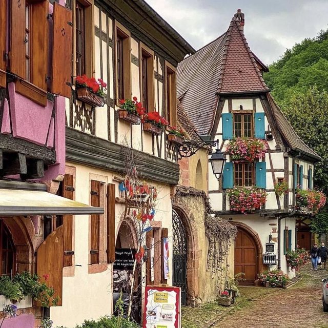 timeless alsage 🇫🇷 
