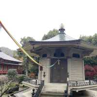 追溯古代日本傳統美學之旅：京都嵯峨野大覺寺 