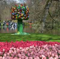 キューケンホフ公園(keukenhof)とてもチューリップが綺麗でした🌷