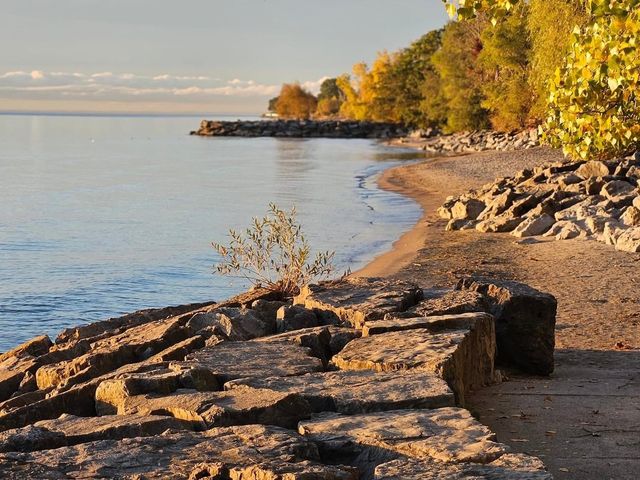 Jack Darling Memorial Park 🇨🇦