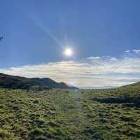 Fairlie moor loop trail