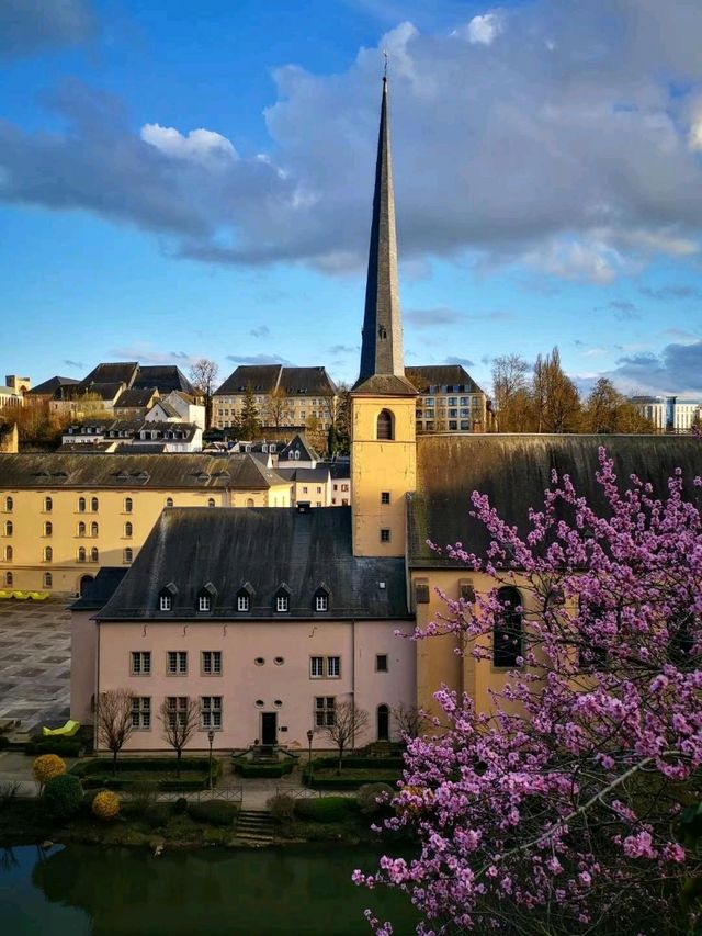 Charm in a Grand Duchy: Luxembourg Delights