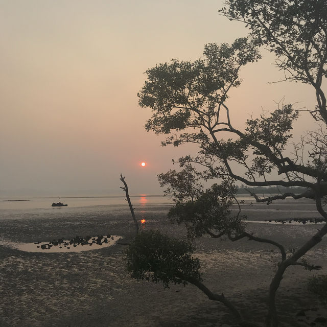 Paradise 🌞 INDIA GOA 