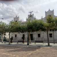 Nava del Rey, wine route