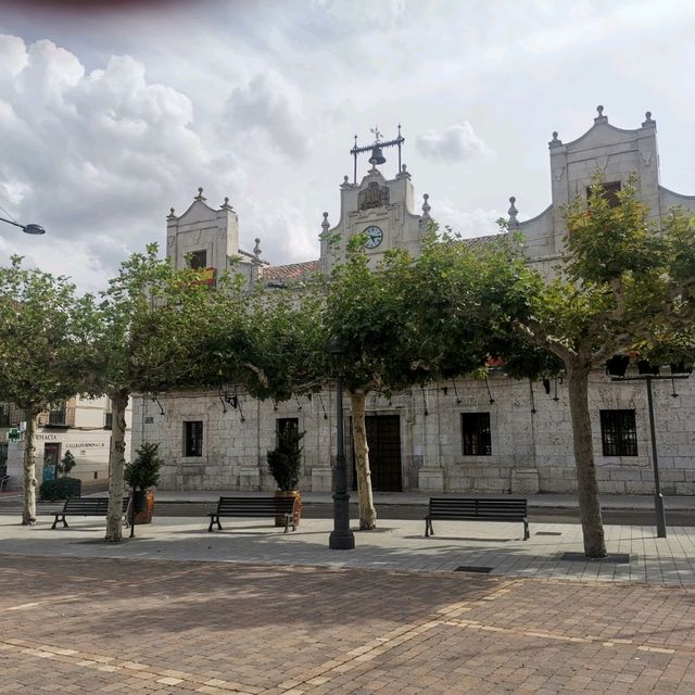 Nava del Rey, wine route