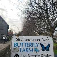 Stratford upon avon