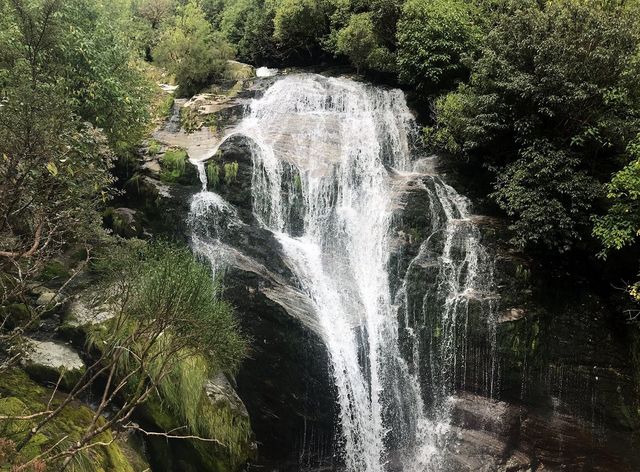 Adrenaline Rush in Queenstown