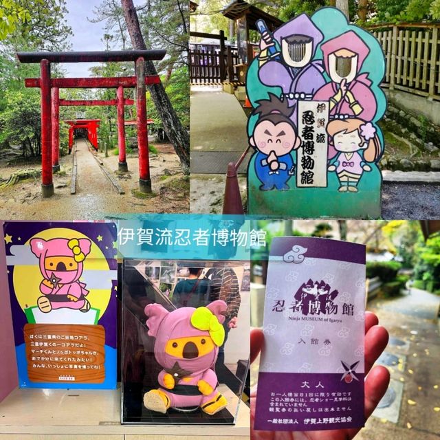 《伊賀流忍者博物館》精彩的忍者戰鬥表演🥷