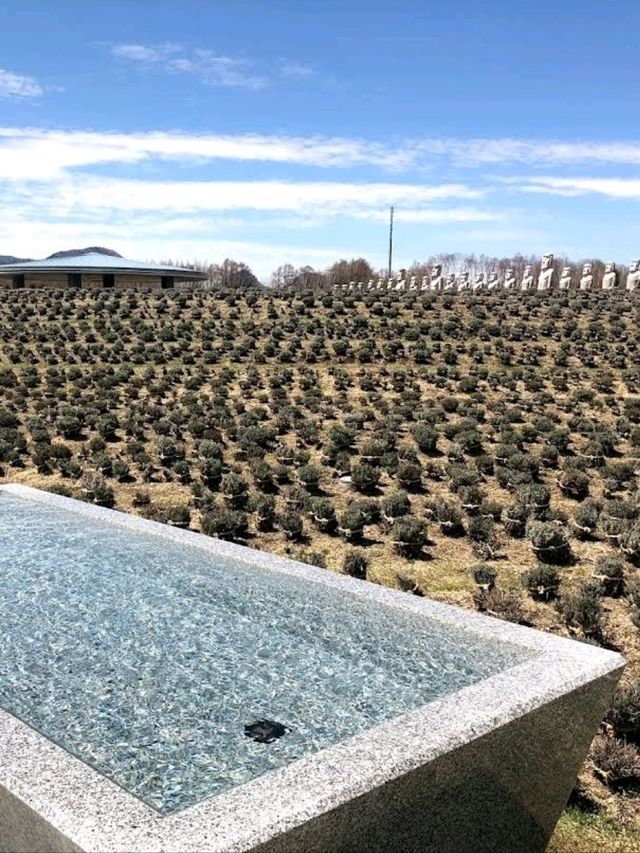 🧧頭大佛殿🧧日本最大的陵園