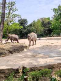 Great family trip at the zoo 🇫🇷