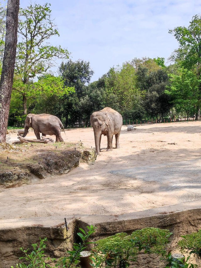 Great family trip at the zoo 🇫🇷