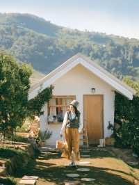 Jin Ju Orange Farm Mae Rim