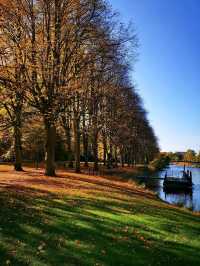 Wandering Malmö: Nordic Vibes and Modern Marvels