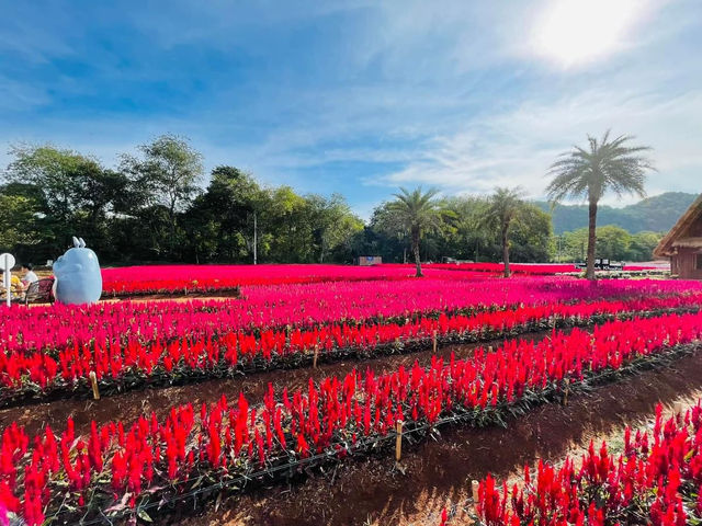 Hokkaido flower park