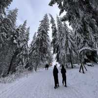 Bulgaria-Sofia-Vitosha Mountain 