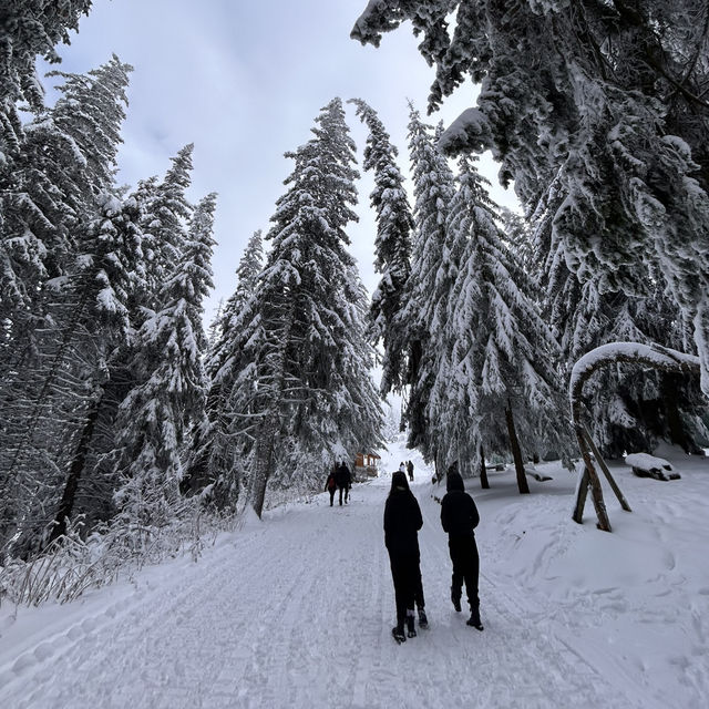Bulgaria-Sofia-Vitosha Mountain 