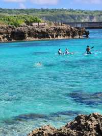 The marine garden of Okinawa 