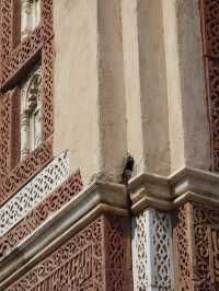 🏛️ Qutub Minar: A Towering Legacy in Delhi
