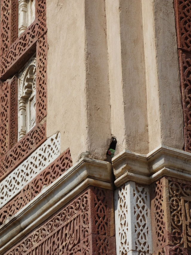 🏛️ Qutub Minar: A Towering Legacy in Delhi