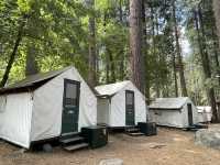 🏞️ Yosemite National Park – The Ultimate Adventure Theme Park! 🌟🌲  