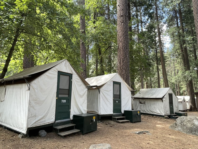 🏞️ Yosemite National Park – The Ultimate Adventure Theme Park! 🌟🌲  