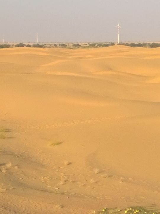 Camel Safari in Jaisalmer: A Journey Through the Thar Desert
