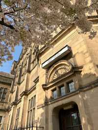 🌸 Spring Has Arrived in Sheffield City Centre – Here's How to Capture It 🌞📷