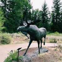 🏞️ Top Landmarks in Grand Teton National Park