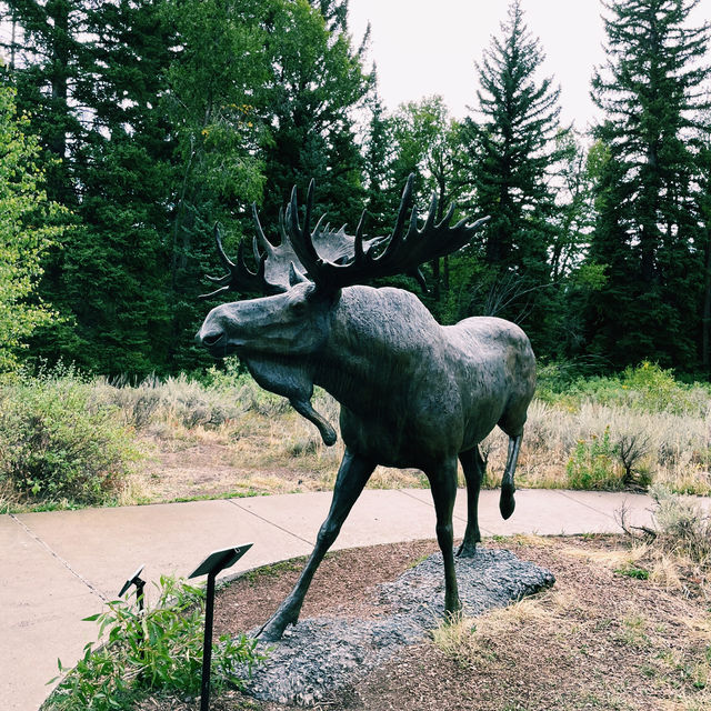 🏞️ Top Landmarks in Grand Teton National Park