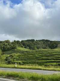 The Azores are one of the best hiking destinations in the world. 