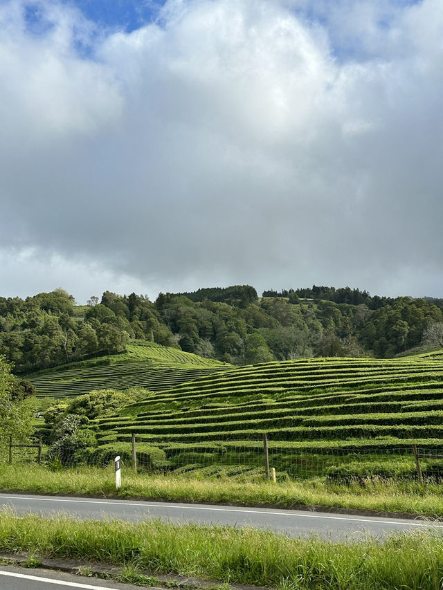 The Azores are one of the best hiking destinations in the world. 