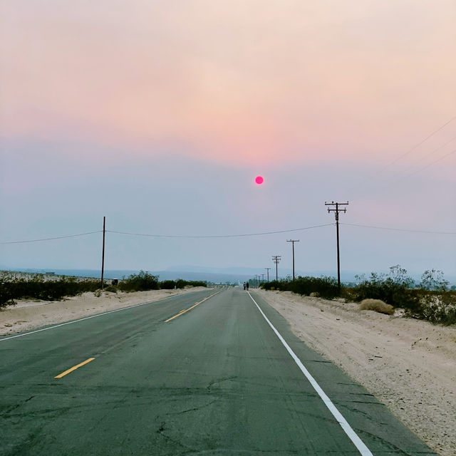 🌵 Getting Around Joshua Tree National Park: Transportation Tips You Need
