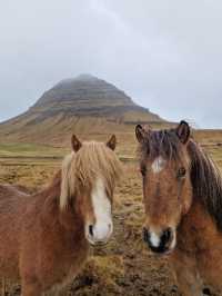 You can’t miss this day trip through Iceland’s most peaceful peninsula