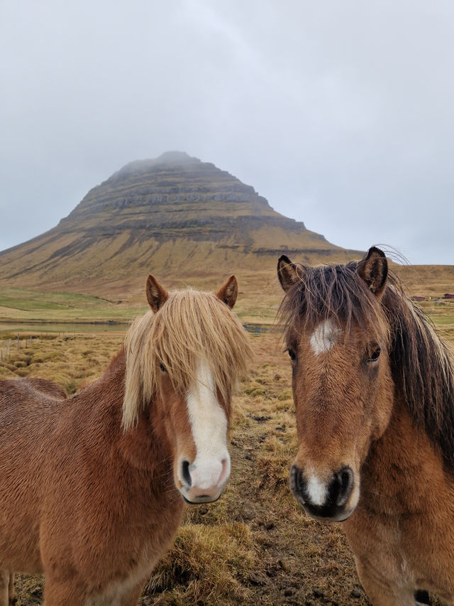 You can’t miss this day trip through Iceland’s most peaceful peninsula