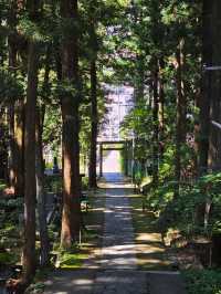 ⛪ Visiting Hida Folk Village: A Step Back in Time