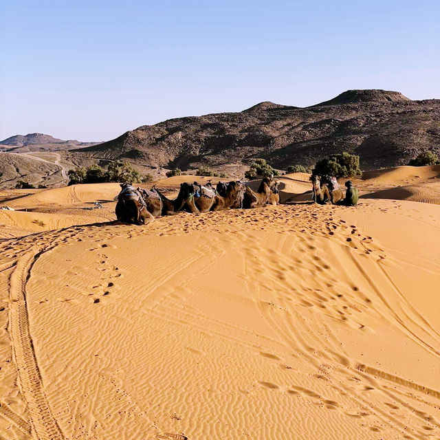 🎒🏜️ Backpacker’s Guide to the Sahara Desert: Essentials, Adventure & Budget Travel Tips