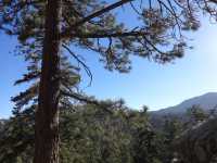 Mount San Jacinto. A breath of fresh air in California’s desert 