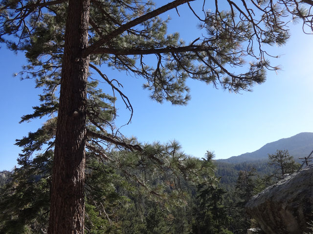 Mount San Jacinto. A breath of fresh air in California’s desert 