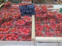 Amazing food in Toulouse